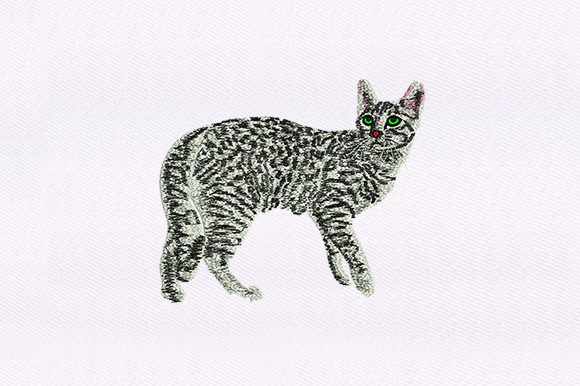 Black White Cat Design: A Designer's Review for Gifts